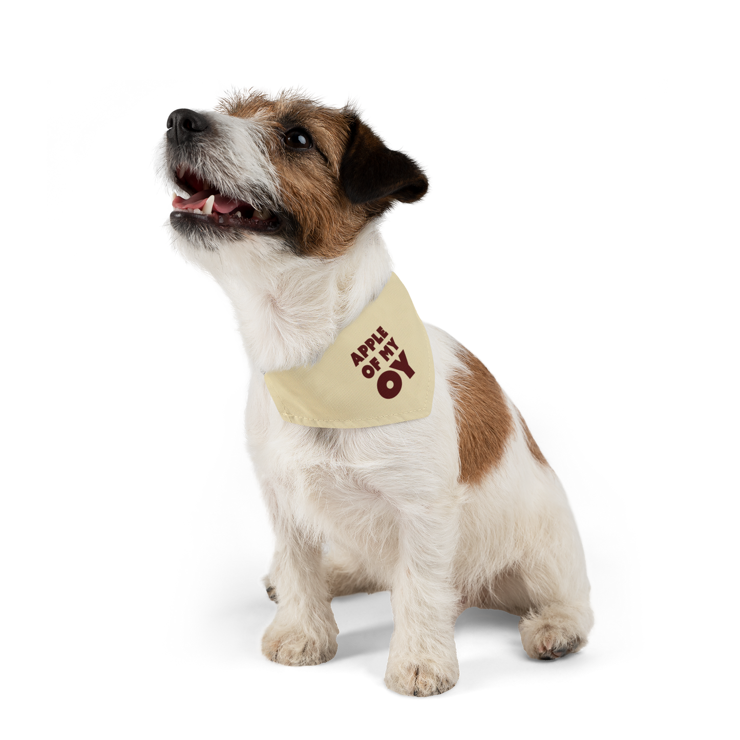 Apple Of My OY Dog Bandana