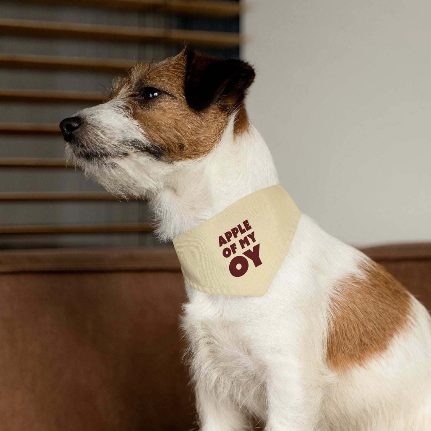 Apple Of My OY Dog Bandana