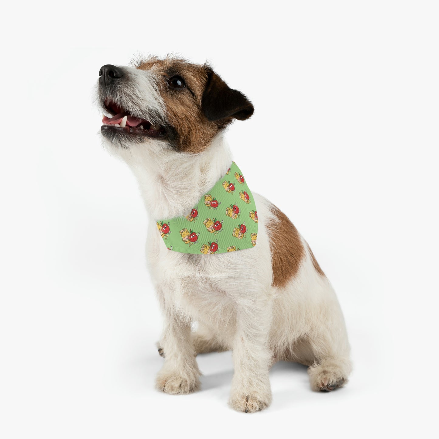 Rosh Hashanah Dog Bandana