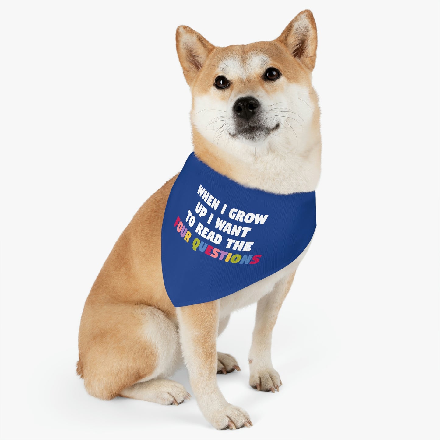 The Four Questions Dog Collar