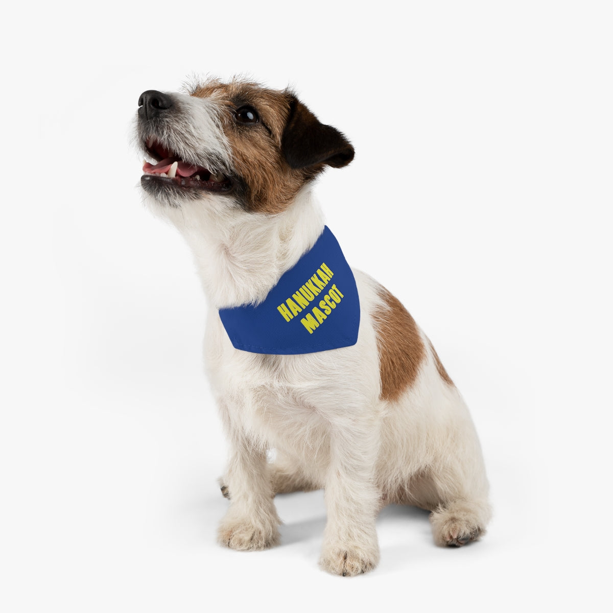 Hanukkah Mascot Dog Bandana Collar