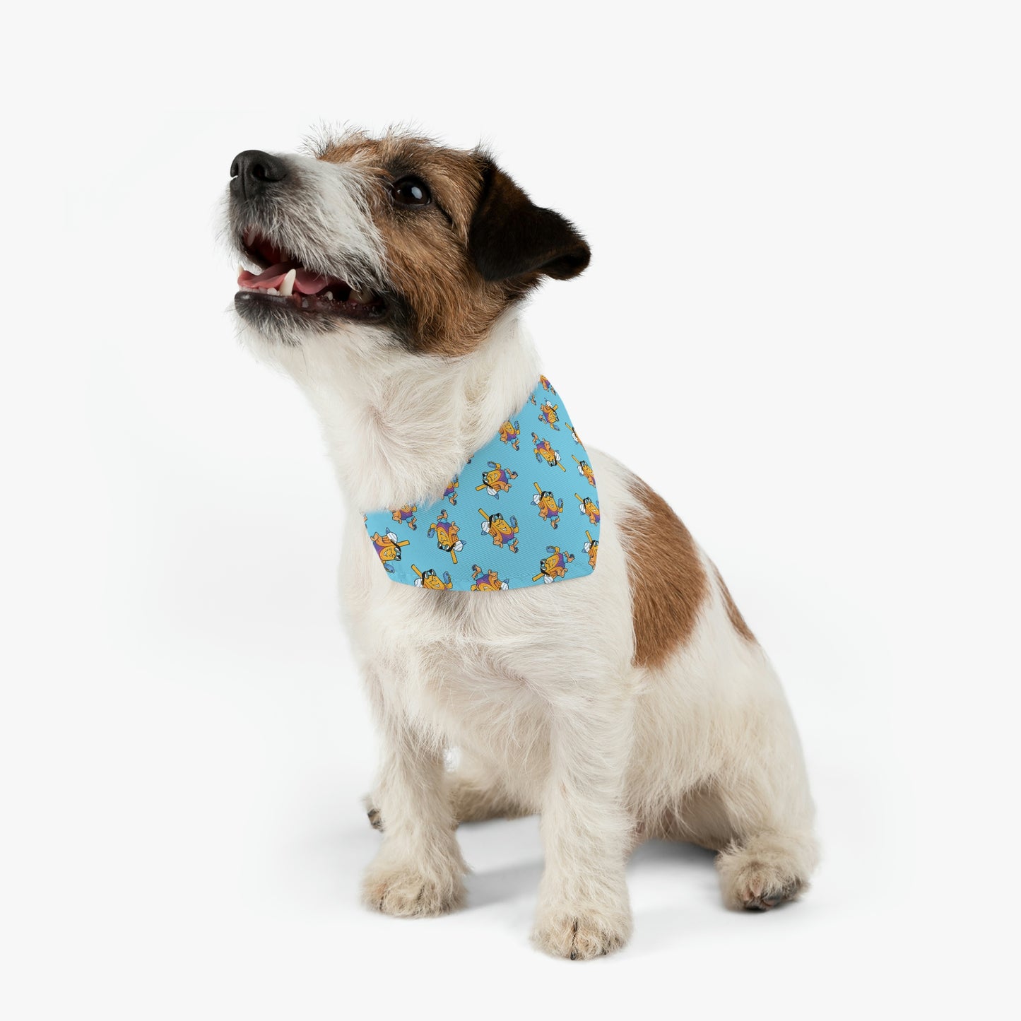 Dreidel Dog Bandana